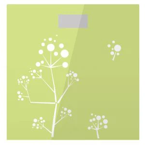 Einföld stafræn þyngdarmörk